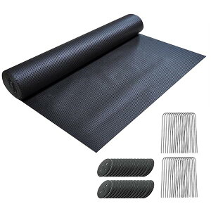 hV[g ϋvsDz100g/m2 V[g   5Nϋv Gh~V[g UsY50{ƍ50t G΍ Hp |phV[g  ʘH  EbhfbL̉Ȃ (1