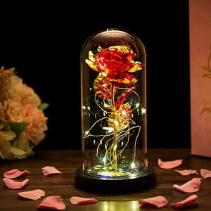  o v[g t[Mtg KXh[  ͂Ȃ KN ԑ dr bL[Y  LEDCgtdr CeA ̓̃v[g j a NX