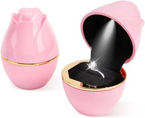 u1vv|[Y LEDwփP[X [Y o OP[X lbNXP[X LED 5F WG[[ LOv[g KN Ԍ` O{bNX w CO lbNX uXbg 