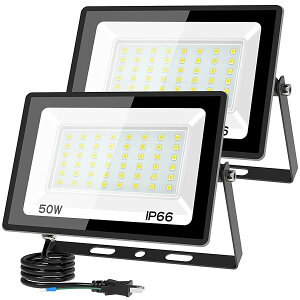  led  O 100v  Ɠ O 3000K/6500K IP66 F/dF Px HpCg ledCg  Op O h Ŕ W K[W q ԏp (F, 50W 2)
