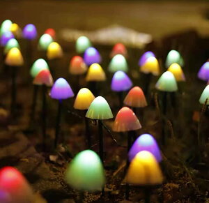 C~l[VCg \[[ LmR^ 6M/30 O h  Őv K[fCg 8[h Ԏ_ ߍݎ K[f ɓK NX}X VN  \[