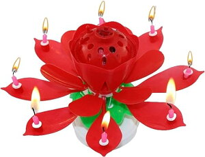 y6FIׂz@̉Ԃ̃P[LLh }WbNt[o[Xf[Lh JtɐMȂقǂ̃o[Xf[Lh }`J[~[WJP[LLh a