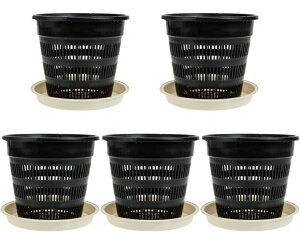 u1vK[fv^[ 5Zbg Ӓ̐Aؔ NA AEghAMtg vX`bN T{e X^[eBO|bg vX`bNt[ K[f K[fj v^[