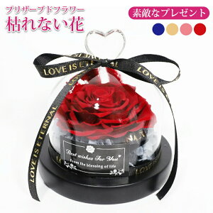 vU[uht[ {o LEDCgt KXh[ ۑ ͂Ȃ ỉ aMtg v[g ؂Ȑl  ̓ NX}XMtgސEj LO 蕨