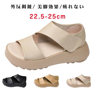 T_ fB[X T_  ₷ y X|T Ȃ X|[cT_ V[Y 5cm q[ ~ r K L  s t  ɂ Vv JW