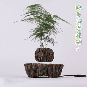 C Aؔ  VA|bg p V]Aؔ Ct[eBOA|bg Floating Flowerpot t[eBO t[|bg 360x]~ v^[ 󒆕V Ce