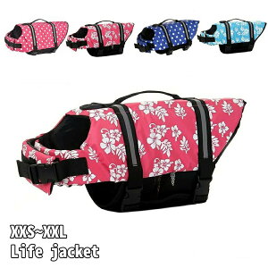 CtxX t[eBOxXg ^ p ybg  C V Z[teB S S  ^ ^ ^ CtWPbg