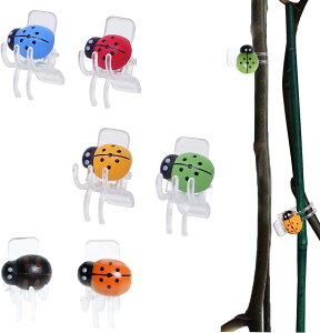 m A ĂƂ AT|[g Nbv |Nbv ڂ؃Nbv xUNbv K[fNbv vgNbv |beBO XeBbN 30i6Fj