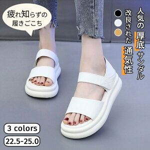  T_ fB[X y T_ _炩 Ȃ C r g ~ Vv ₷ ₷ RtH[gT_ 