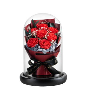 ~j[Yu[P ԑ u   vU[uht[ ͂Ȃ ͋C a/̓/NX}X/LO/o^Cf[/zCgf[//v[gM