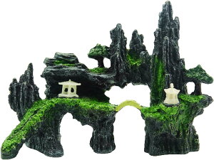 ANAE  IuWF  R  U B VF^[  ͌^ u I[ig ̓