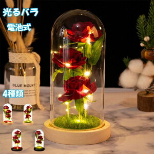 o KXh[ [Y KN Cg vU[uht[ v[g   KX v|[Y \[vt[  u Y }eBbN dr ͋C o 