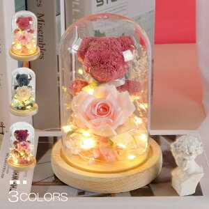 o N} Cg ͂Ȃ KXh[ [Y KN   u   dr o  ޏ  a LO  j 蕨 v[g