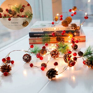 NX}X d LEDXgOCg ڂ^ LEDC~l[VCg dr dled 2M 20LED _ŋ@\ NX}Xc[胉Cg NX}X nEB p[eB[  a