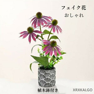 uCeA10%offZ[vtFCN tFCNO[ ԃO[ ͂Ȃ lHϗtA tFX |bg i`|bg tFCN ֏ O[ _ CeA 