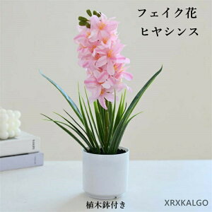 uCeA10%offZ[vtFCN tFCNO[ qVX ԃO[ ͂Ȃ lHϗtA tFX |bg i`|bg tFCN ֏ O[ _ C