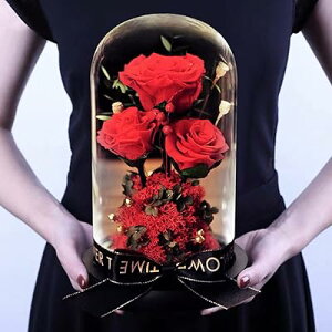 vU[uht[ v[g ỉ LO  o Mtg KX|bg P[X Ԃ肴[ǃt[ KN t[Cg hCt[ AW ͂Ȃ bsO