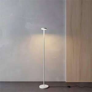 Lobpor k tACg ԐڏƖ  140cm ו tAv F X^hCg 邢 6 ȃGl leddt (White RȂ)
