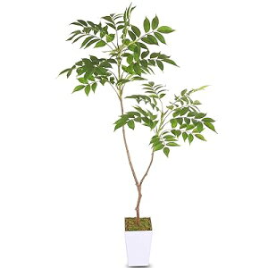 lHϗtA tFCNO[ G}  lHA yV}glR 110cmzϗt L R CeAO[  ItBX  