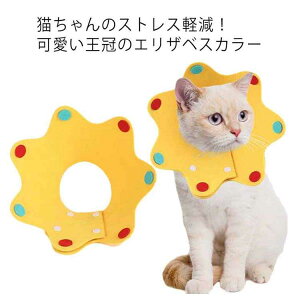 ȒP \tg tFg ~h~  GUxXJ[ L J[  GJ y p̕Ki ̕ی 2Zbg XgXy yzGUxXJ[ S M L 2g yb