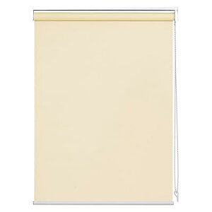 [XN[ [J[e SՌ 1Ռ h ՔM \F h `F[ J[e[t\ 180x135cm x[W