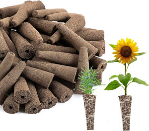 k͔| X|W 30 k͔| AX|W k͔|Lbg ͔|Lbg kX|W c  K[f A琬