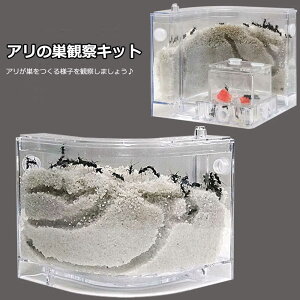 アリの巣 あり観察キット アリの巣観察キット アリ 巣 観察 飼育ケース 砂 自由研究 小学生 キット あり 蟻 飼育セット 実験セット 観察 工作 男の子 女の子 夏休み 学習用 おもしろ実験 父の