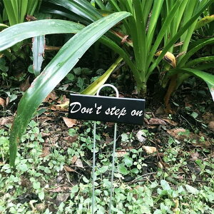 yIz|x S | l[v[g } x A^O Ax  | Ԓd A K[fjO Ďgp\ K[fjOpi Ŕ ~j |pi ؗpn[u