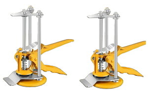 2Zbg ^CP[^[  ^C hA KX ^CH ƒp Ɨp