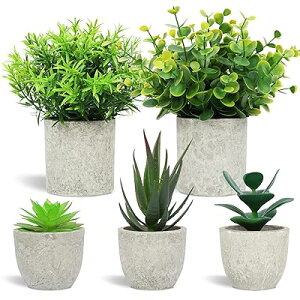 tFCNO[ lHϗtA 5_Zbg ϗtAtFCN A ӂ[  ϗtA ZbgtFCNO[ ~j ϗtA tFCN Zbg CeA  lHϗtA