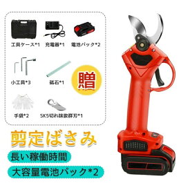 剪定ばさみ 電動 剪定バサミ 充電式 レディース コードレス 枝切り 枝切ばさみ バサミ 電動ハサミ 切断直径30mm 軽量 女性 庭木 枝切り 果樹用 園芸用 剪定用具 バッテリー ガーデニング 植木 盆栽 枝 園芸ガーデンツール 電池パック付き