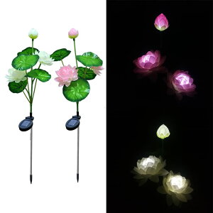 y{Zbgz\[[Cg LED [^X @ ߍ݃Cg O K[ffR[VCg C~l[VCg ɂ₳ ȃGl h 뉀 Ő ԓ  p[eB[ N