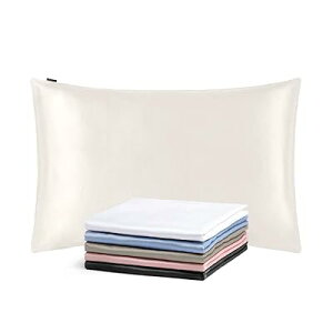 VNJo[ s[P[X y43x63cmz AC{[ y1z 25/ z/VRVN//y/OEKOF؍