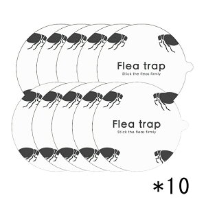 y|Cg - !z10{Zbg ߒSV[g