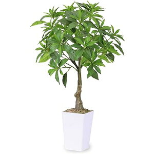 AZr n 75cm lHϗtA tFCNO[ ϗtA  G} L R CeA  ItBX  