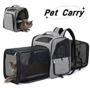 ЊQɂ ybgL[obO ybgL[bN ybgobO ybgbN ybgL[ bN obO L   ˂ Ck lR s ʉ@ a@ o y ЊQ