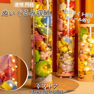 ʂݎ[  ~ [P[X [{bNX [ ] [ ~ W{bNX ȃXy[X e pvc l`[ LEDCgt