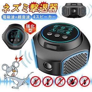 lY~쏜 g dg lY~ފ Q쏜 lY~ 쏜   É  L 4Xs[J[ lY~悯 ^ ώg