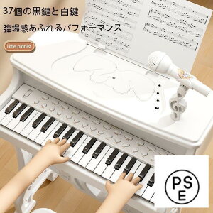 qsAm sAm  ̃sAm qp LbY  ~jsAm }CNt dq L[{[h @\ a ǂ̓ NX}X