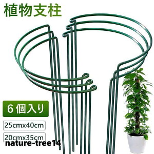 植物支柱 6個入 花ささえ 園芸支柱 植物サポート ココナッツ 観葉支柱 観葉植物 つる性植物 観葉支柱 誘引 支柱 半円形25cmx40cm 20cmx35cm 簡単設置 花支え