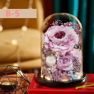 vU[h t[ ͂Ȃ  a  Mtg KN hCt[ t[ MtgKXh[ LEDCg ̂ aFB ̓ӂNւ̌hӋLOv[