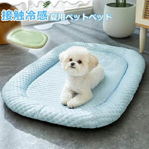 ybgxbh ėp L xbh xbh ڐG ӂӂ Ђ}bg NbV  ⊴ p}bg _炩 Ђ ybgp