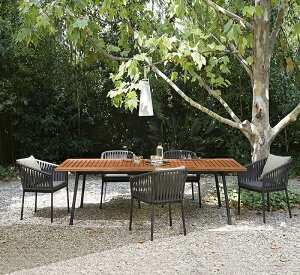 O̕ʑ̒؂̊ƈ֎q̑Y̖؂̃W[̃K[f̃oRj[1e[u4֎q̃ze̖h̃eXق̊ƈ֎qł