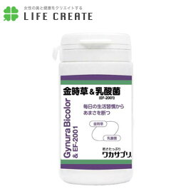 ワカサプリ金時草＆乳酸菌 90粒【1日3粒】(約1ヶ月分）サプリメント 健康食品/乳酸/サプリ/栄養/栄養補給/美容・美肌・20/不足しがちな栄養に!!/美容,健康,乳酸,金時草,サプリ,カプセル【ワカサプリ金時草＆乳酸菌】