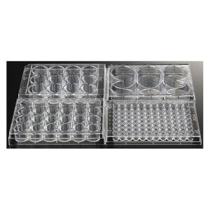 TvebN זE|{pv[g 96well Plate-N i100j 26512 1i100j