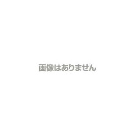 吉田製作所 シルバー身長計YS201/YS202用 ハカマと足台用ボルト・ナット（1本組）