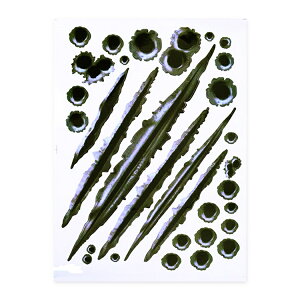 eJ[XebJ[ fR[V hPPtB ˑf  oCN ] X[cP[X wbg Xm{Ȃǂ LYwR݉Bɂ CSTBUL01