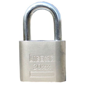 ステンレス南京錠 硬化鋼 汎用 鍵で施錠 シャックル径約5mm 丈夫 耐久性 鍵3本 LST-LOCK30MM