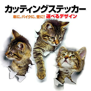 3DJ[XebJ[ L JbeBO/EH[XebJ[ gbNA[g ܂G ͂  oCN  ① Ƌ gCɂ LYB 3DCAT2001
