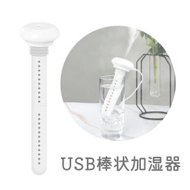 超音波式 USB給電加湿器 ポータブル 静音 アロマ加湿器 自動停止 ペットボトル/コップを加湿器に 芯の長さが調整可 LST-STHUM200